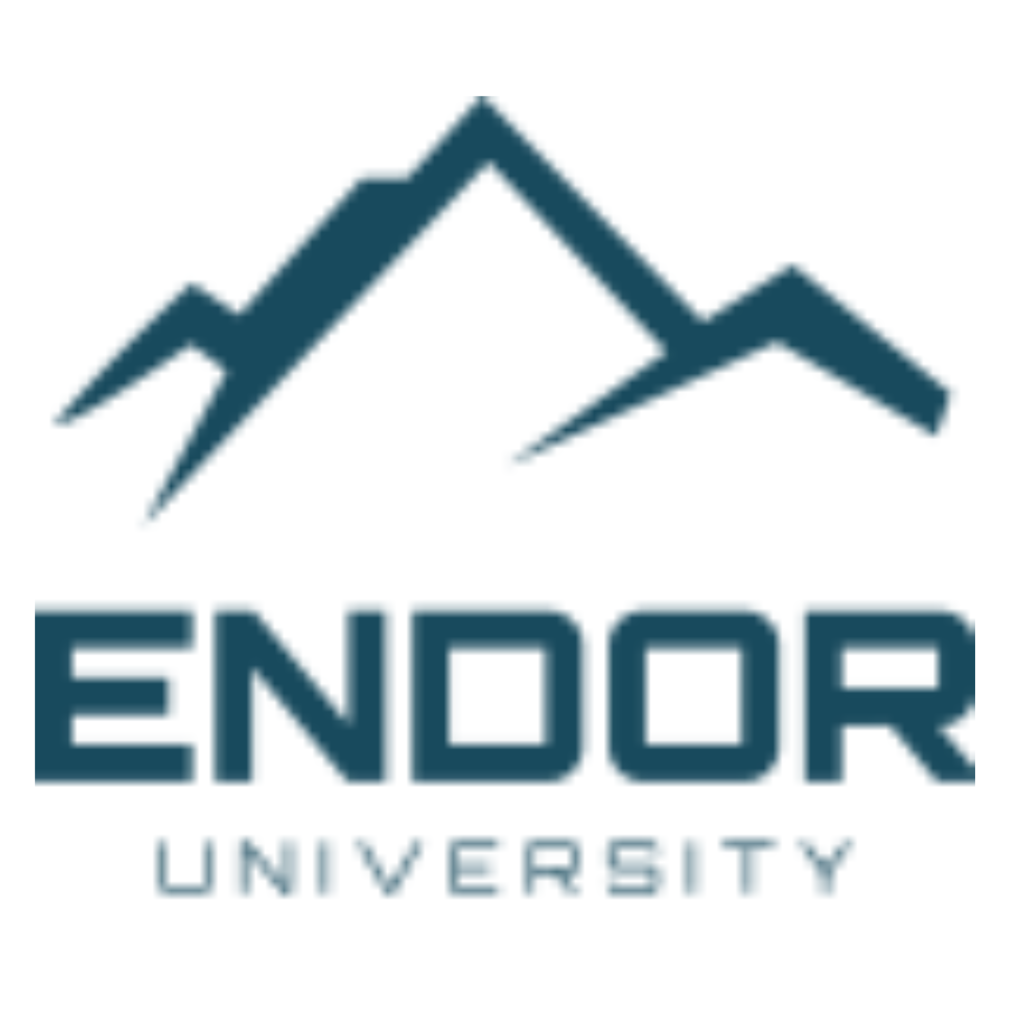 Endor Universitat Digital Logo